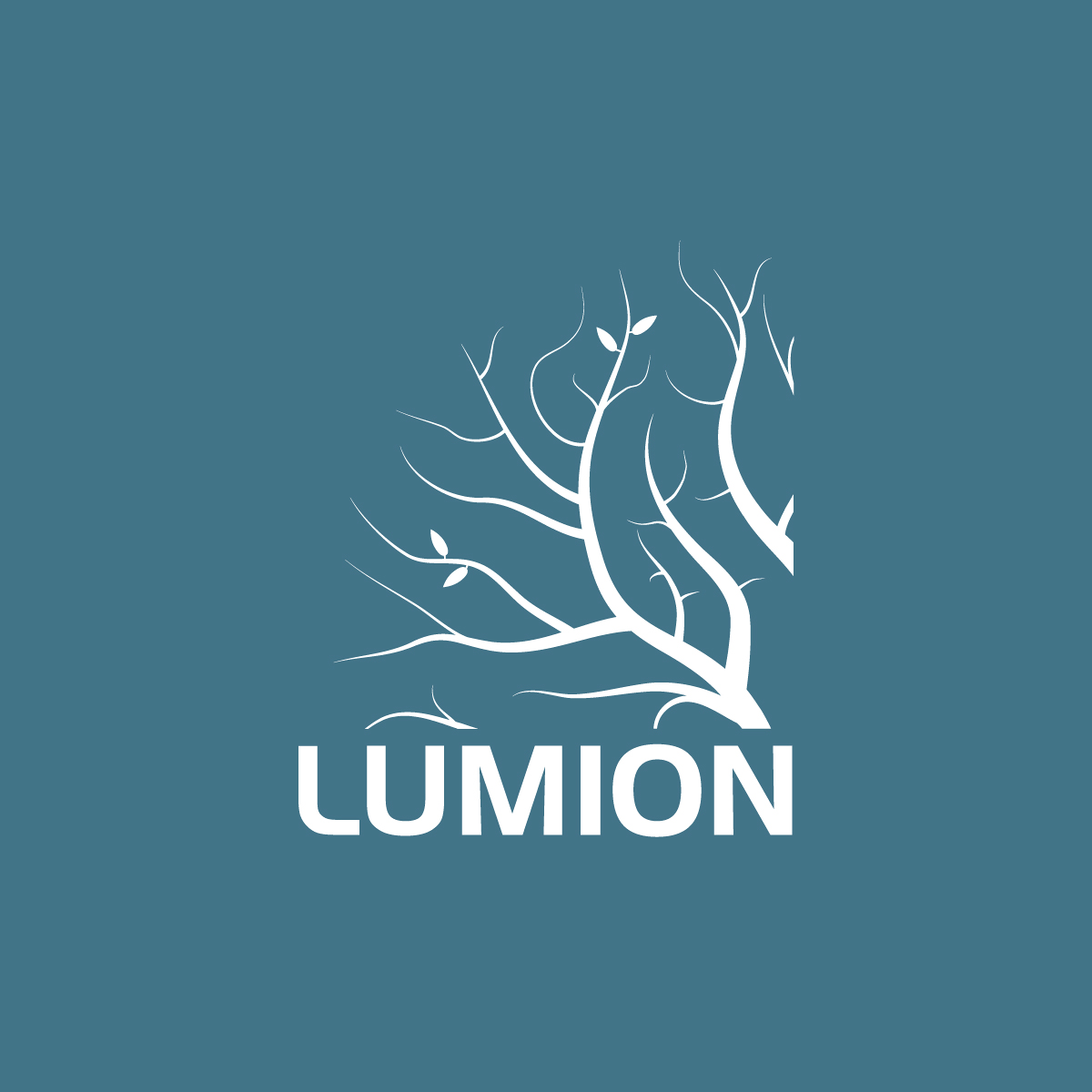 Top_12_best_ rendering_software_in_2022-lumion