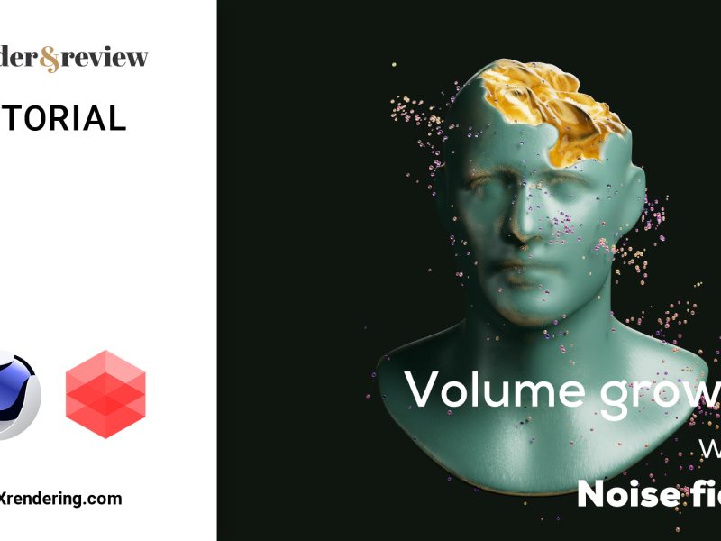 Volume Growth with Noise Field